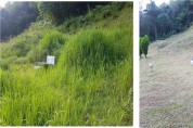 군위군산림조합, “묘지벌초 위탁 신청 접수 시작”
