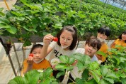 우보초, 진로교육 일환...딸기농장 체험