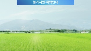 군위군, 쌀 적정생산 3개 지원사업 추진