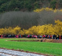 경북도, 이달 25일부터 다양한 봄 축제 열린다.